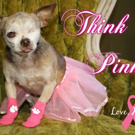 Think Pink for Breast Cancer Awareness